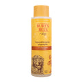 Hypoallergenic Dog Shampoo Shea Butter Honey 16 Fl Oz R3039