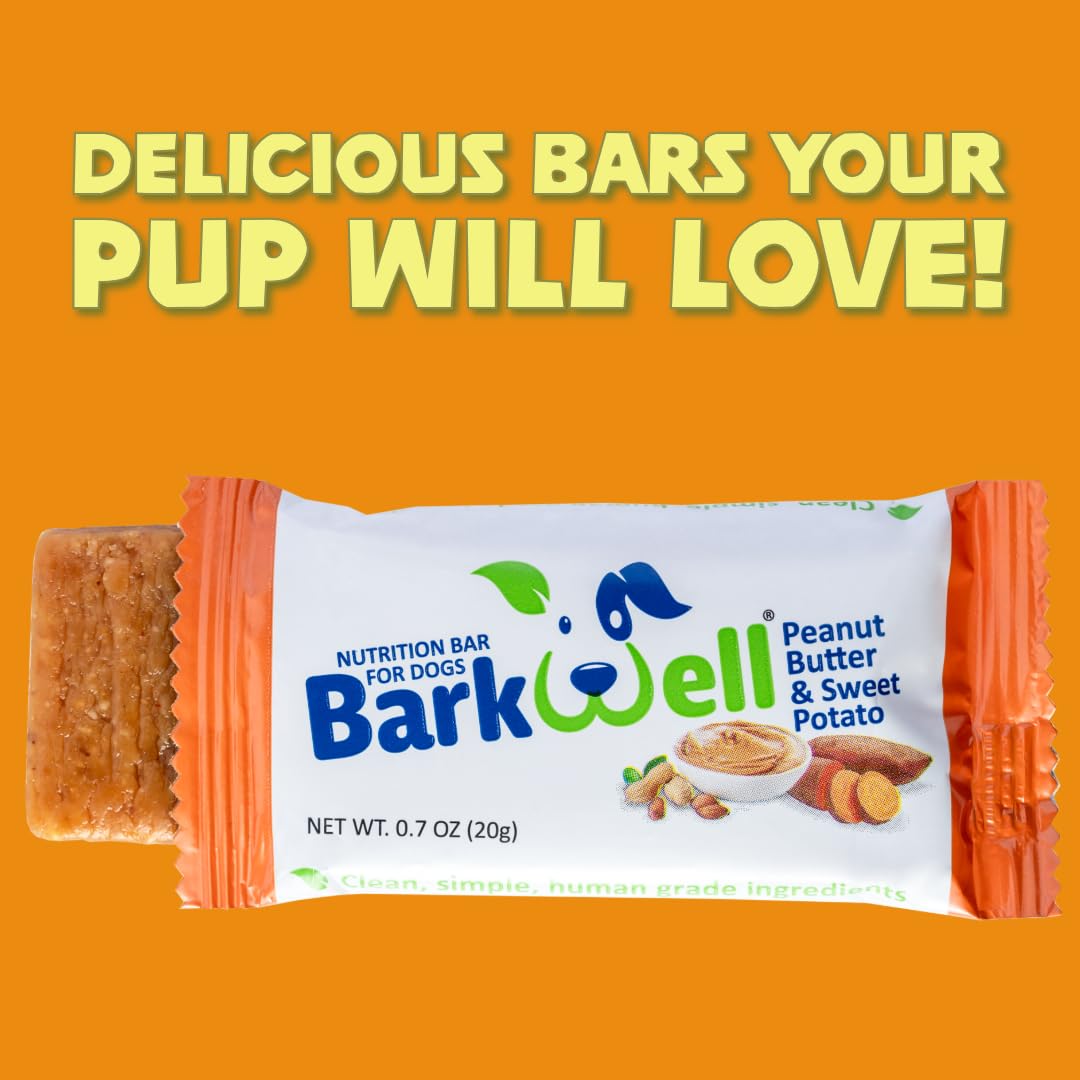 Peanut Butter Sweet Potato Dog Treats 16-Pack Y791