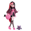 Monster High Doll with Pink & Black Hair R85404