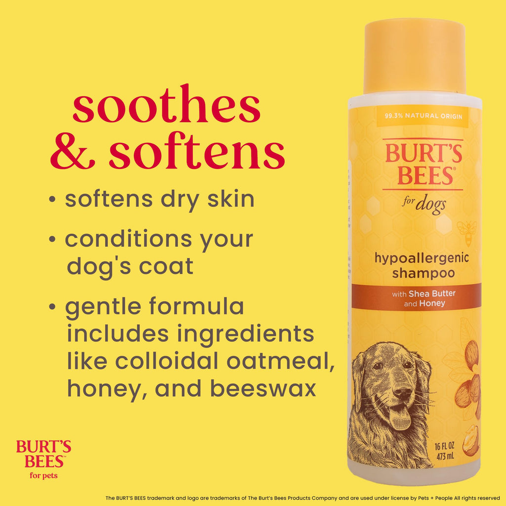 Hypoallergenic Dog Shampoo Shea Butter Honey 16 Fl Oz R3039