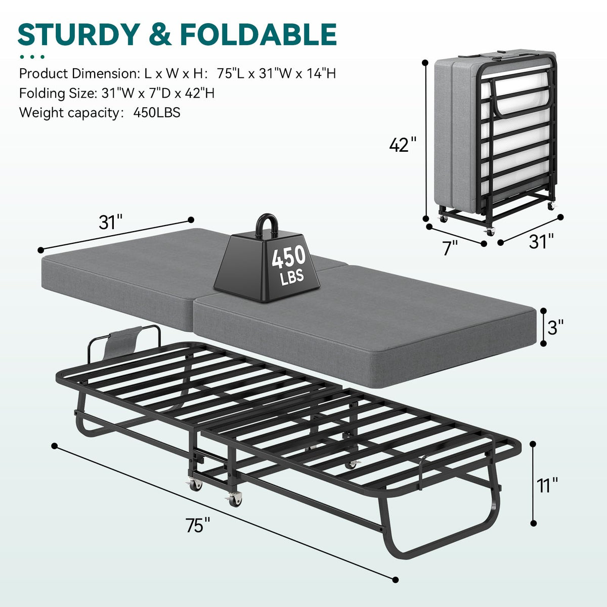 Folding Bed 75" x 31" L690