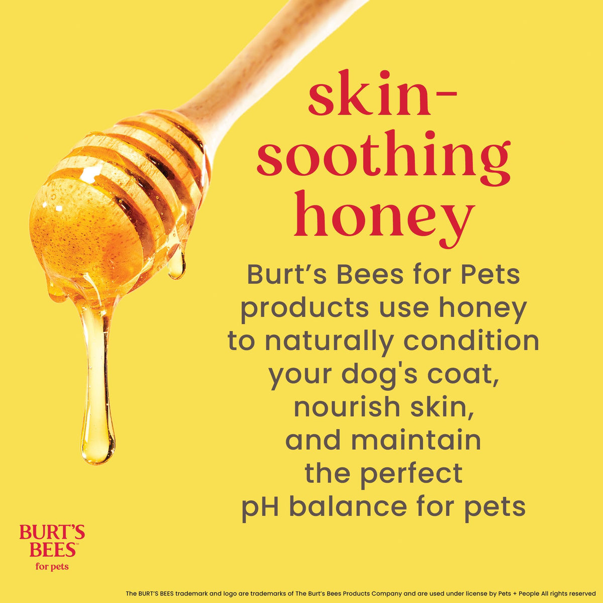 Hypoallergenic Dog Shampoo Shea Butter Honey 16 Fl Oz R3039
