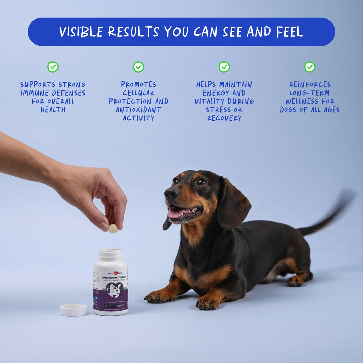 Turkey Tail Mushroom Supplement for Dogs, 120 ct N121439