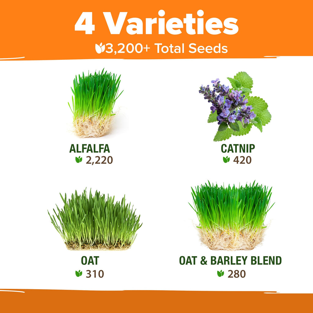Indoor Cat Grass Refill 3,200+ Seeds D4871