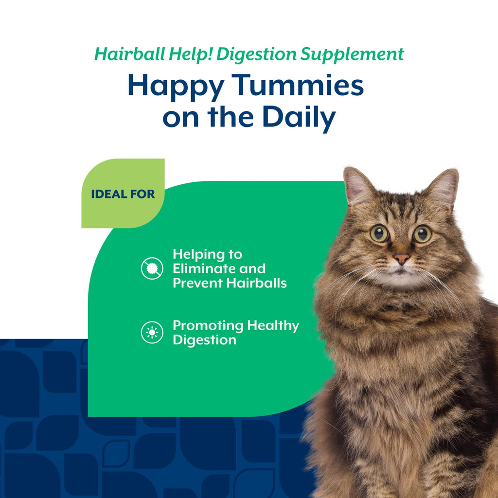 Hairball Aid Scoopable Supplement for Cats 5.5oz I370