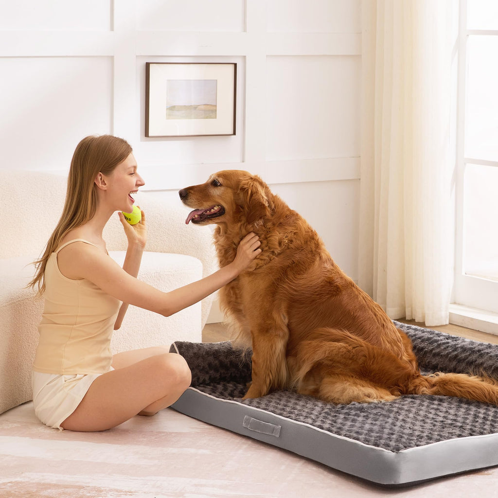 XL Orthopedic Dog Bed Grey J82717