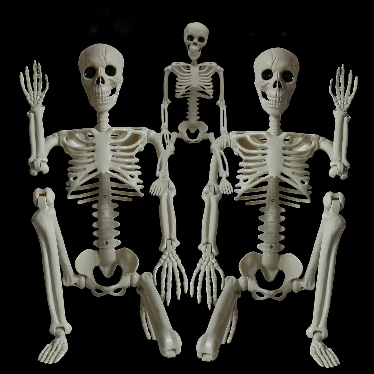 2Pcs 36" 1Pcs 16" Posable Plastic Skeleton F643