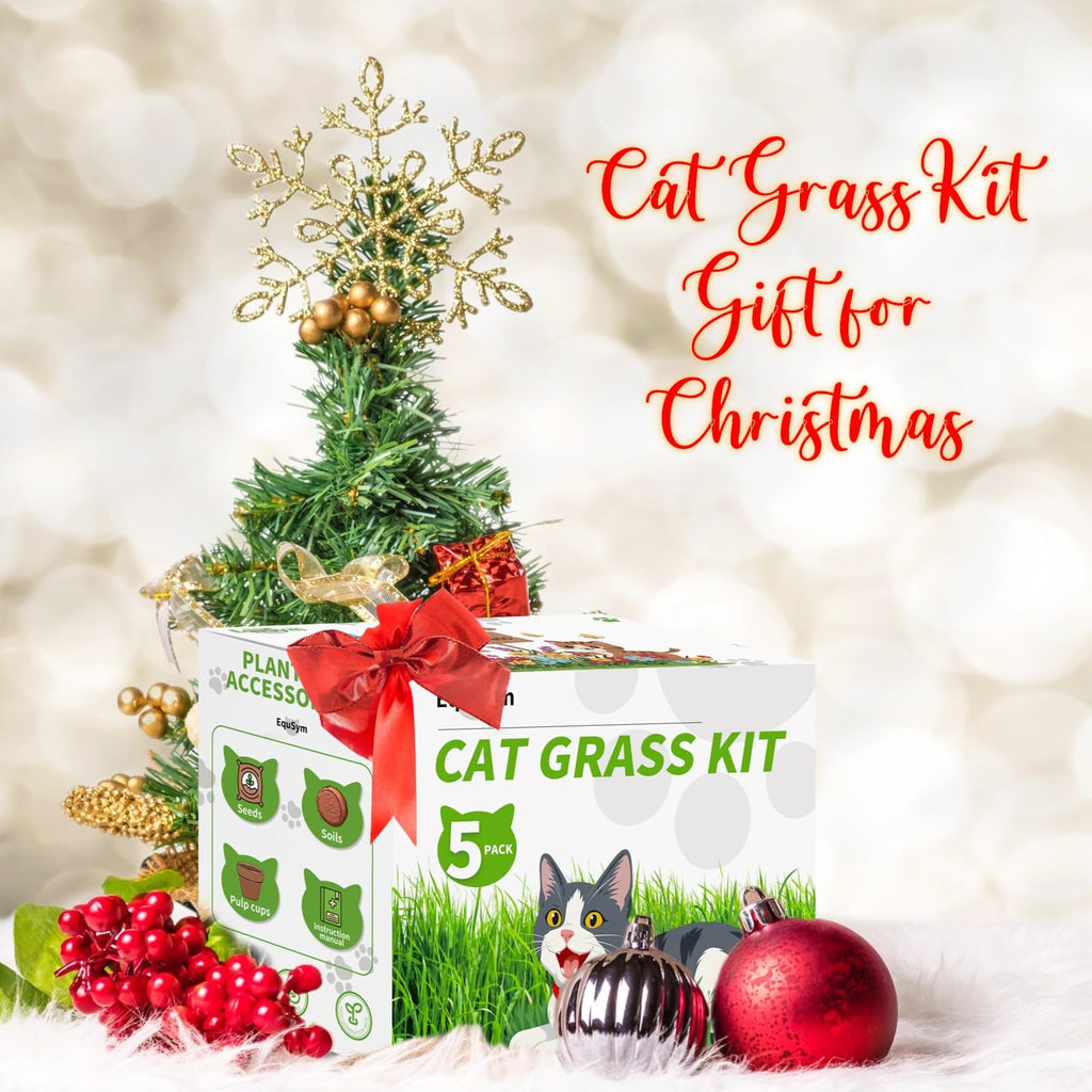 Cat Grass Growing Kit M864