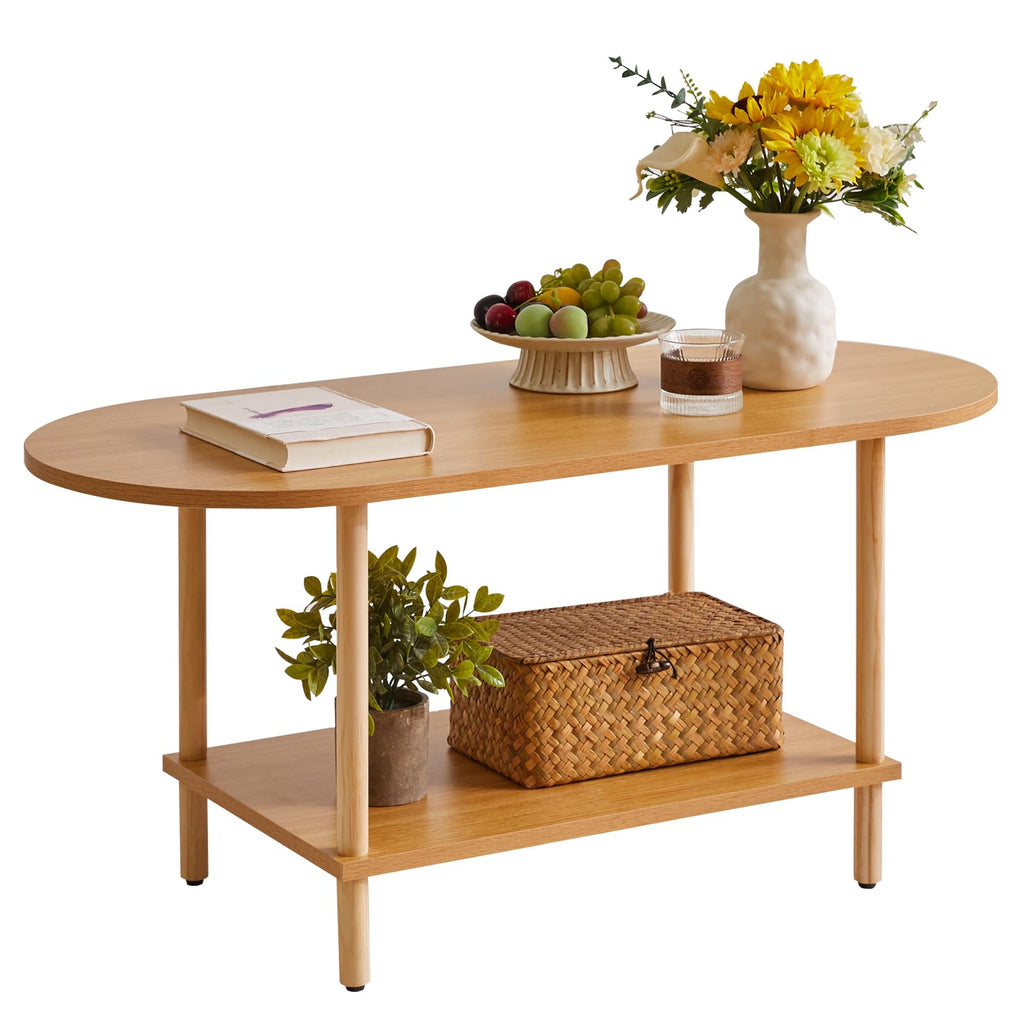 Wooden 2 Tier Coffee Table with Storage Shelf F159