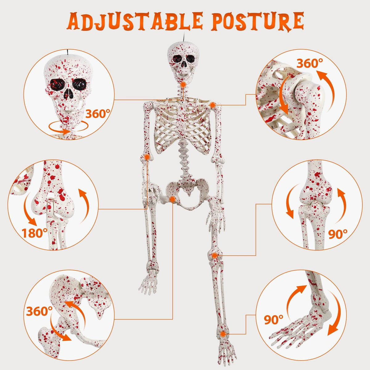 Life Size Posable Skeleton N847666
