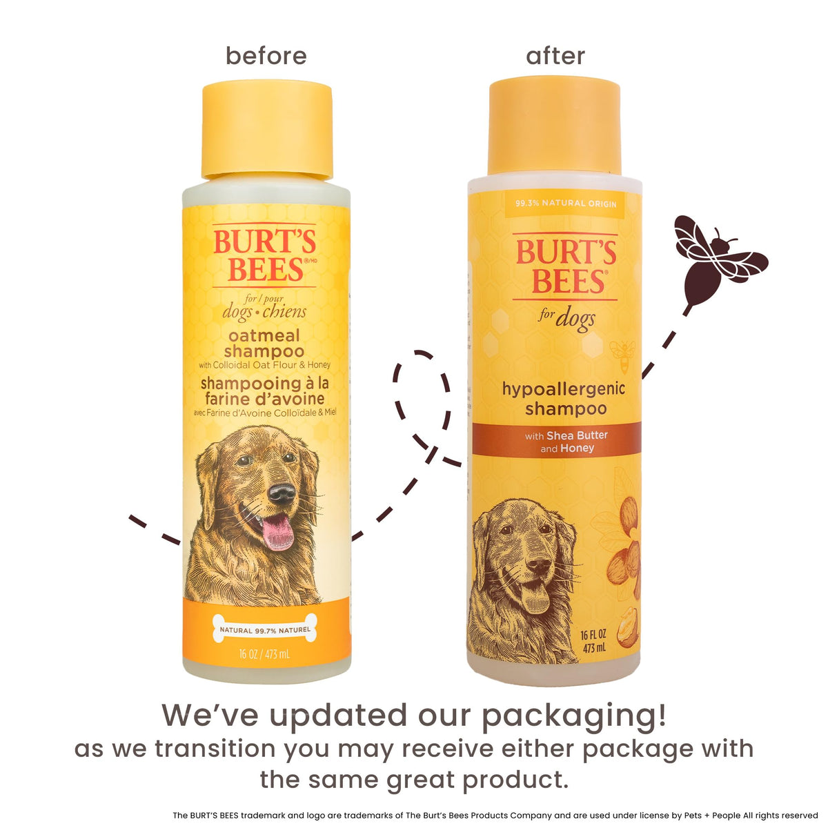 Hypoallergenic Dog Shampoo Shea Butter Honey 16 Fl Oz R3039