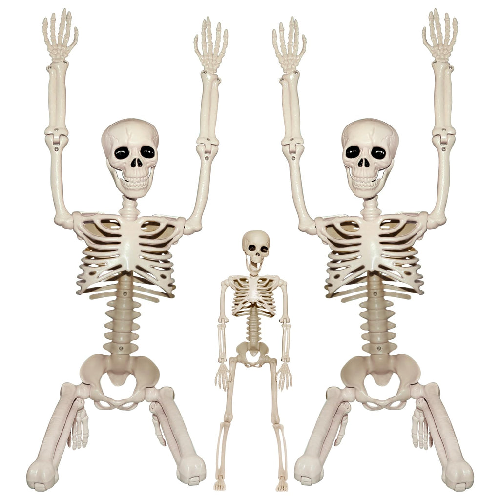 2Pcs 36" 1Pcs 16" Posable Plastic Skeleton F643