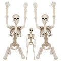 2Pcs 36" 1Pcs 16" Posable Plastic Skeleton F643