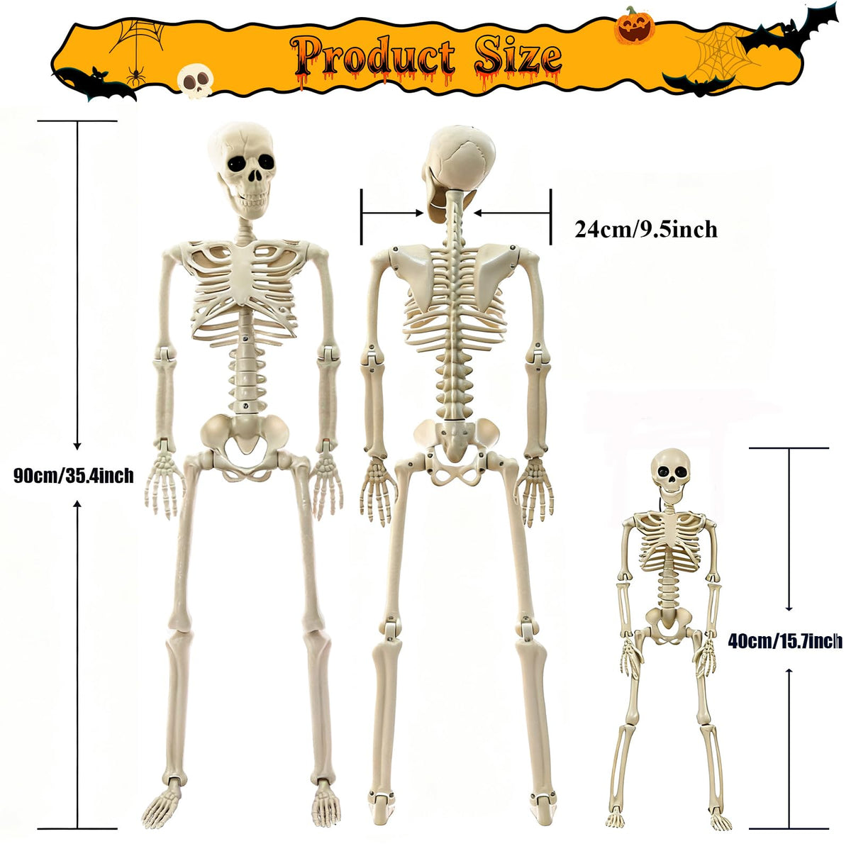 2Pcs 36" 1Pcs 16" Posable Plastic Skeleton F643