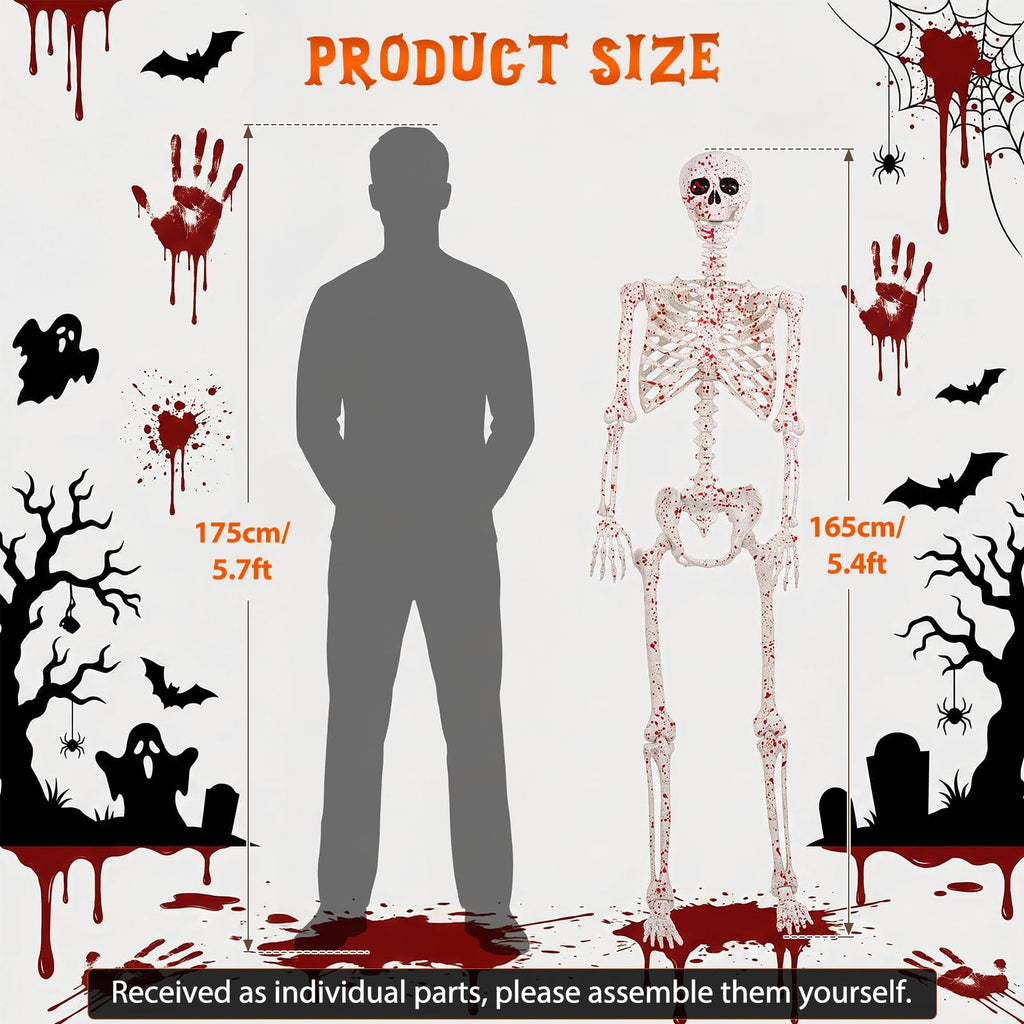 Life Size Posable Skeleton N847666