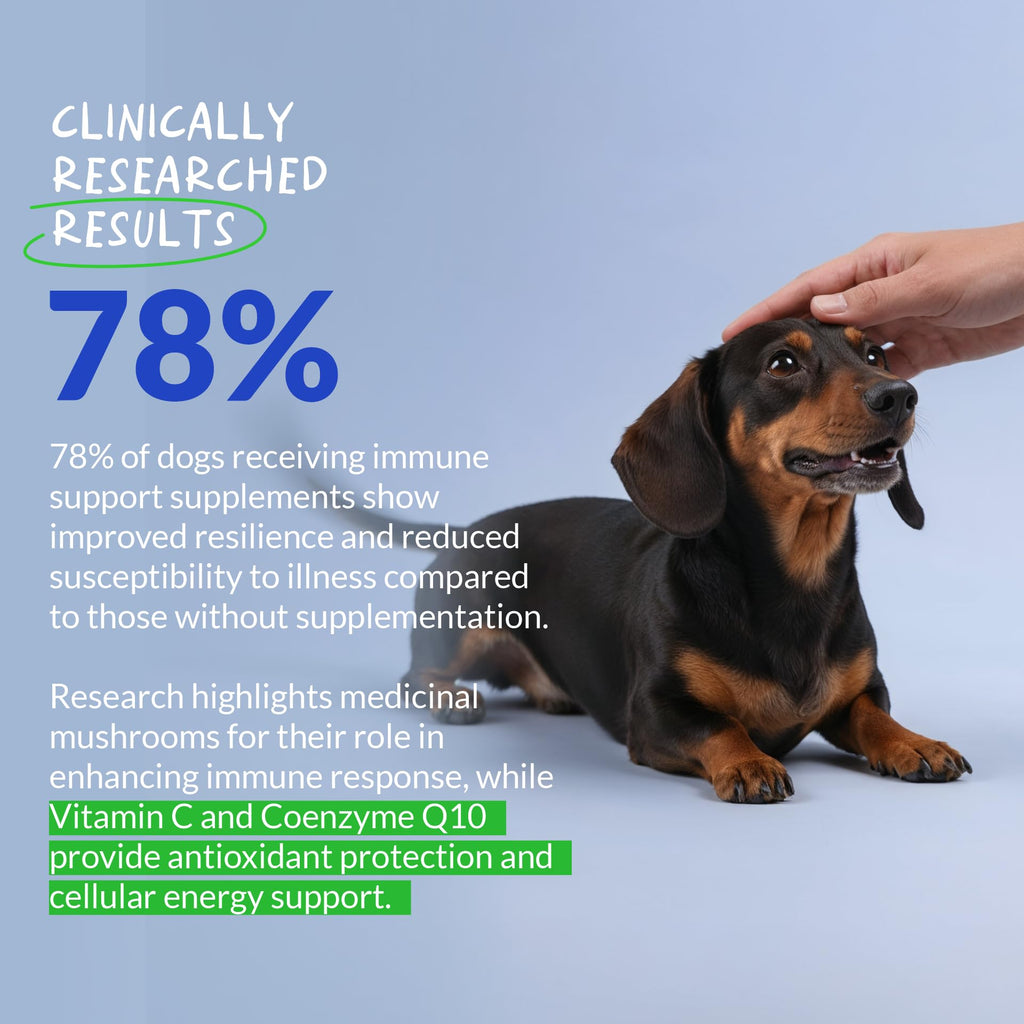 Turkey Tail Mushroom Supplement for Dogs, 120 ct N121439