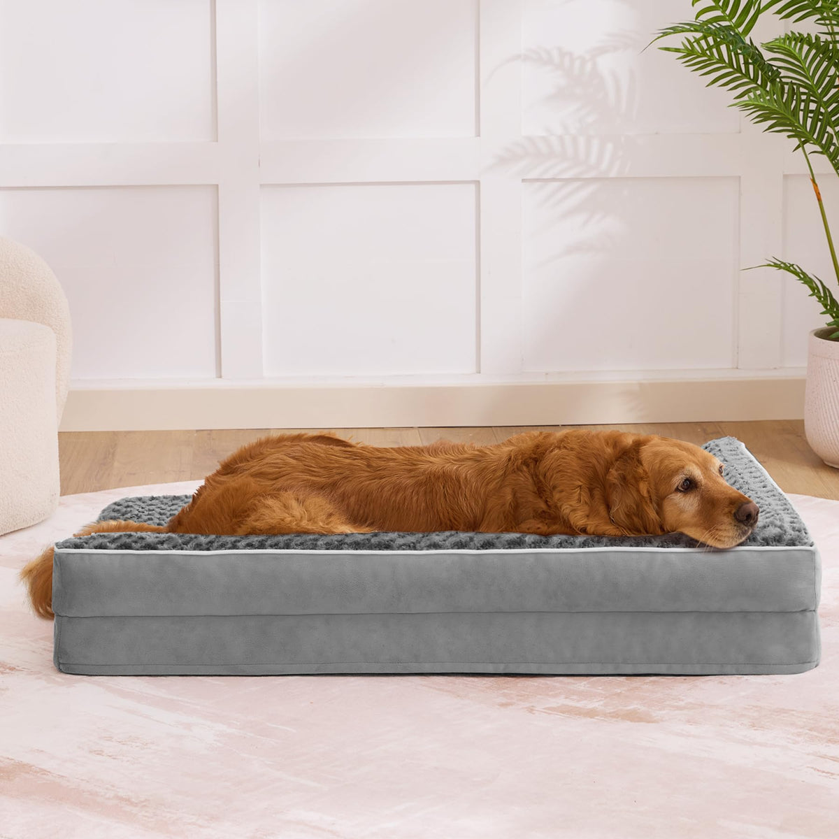 XL Orthopedic Dog Bed Grey J82717