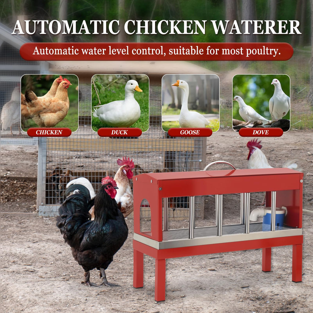 Automatic Stainless Steel Poultry Waterer Dispenser M5463