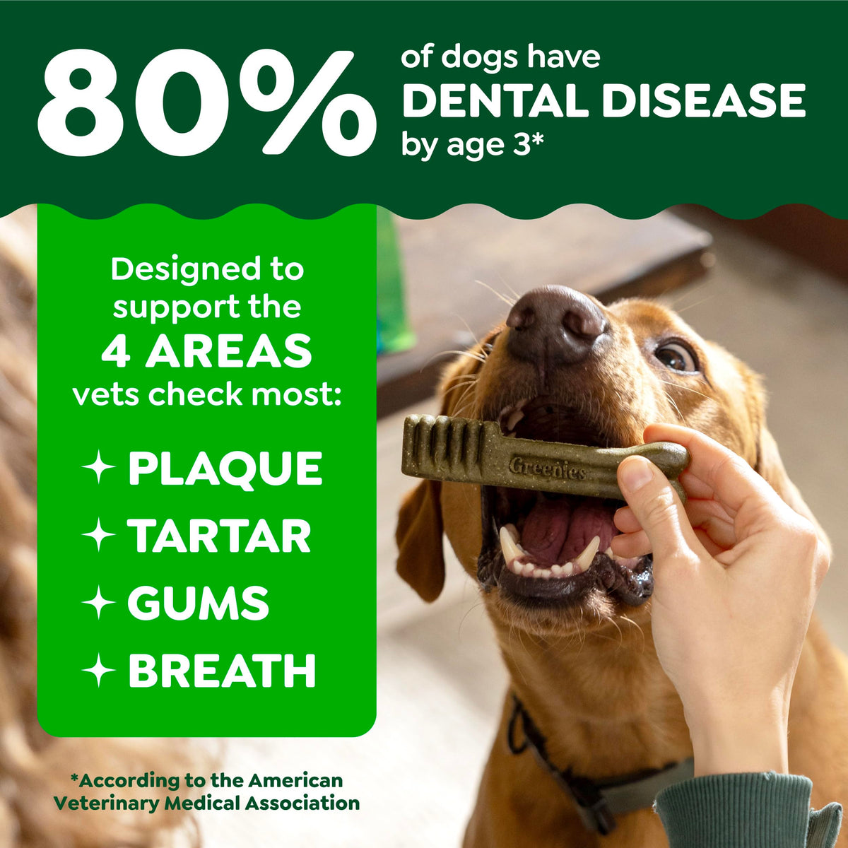 Large Dental Dog Treats 24 Count S4679