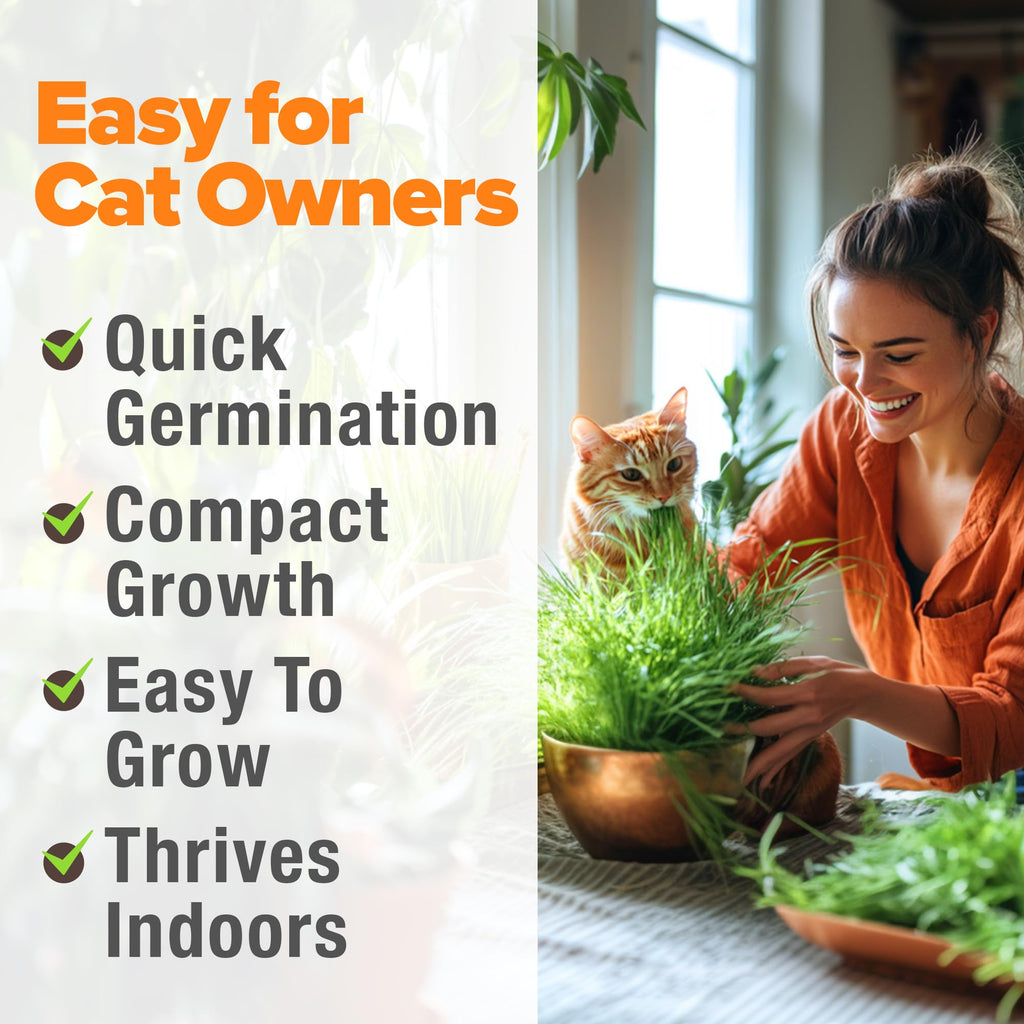 Indoor Cat Grass Refill 3,200+ Seeds D4871