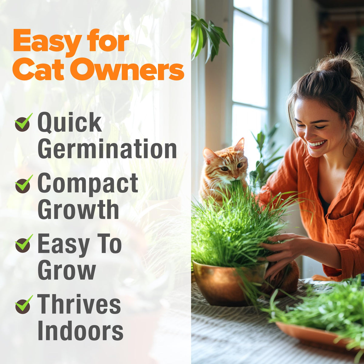 Indoor Cat Grass Refill 3,200+ Seeds D4871