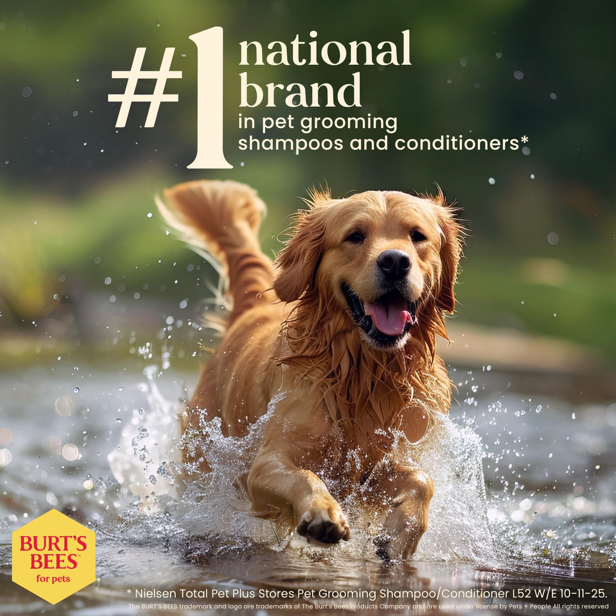 Hypoallergenic Dog Shampoo Shea Butter Honey 16 Fl Oz R3039