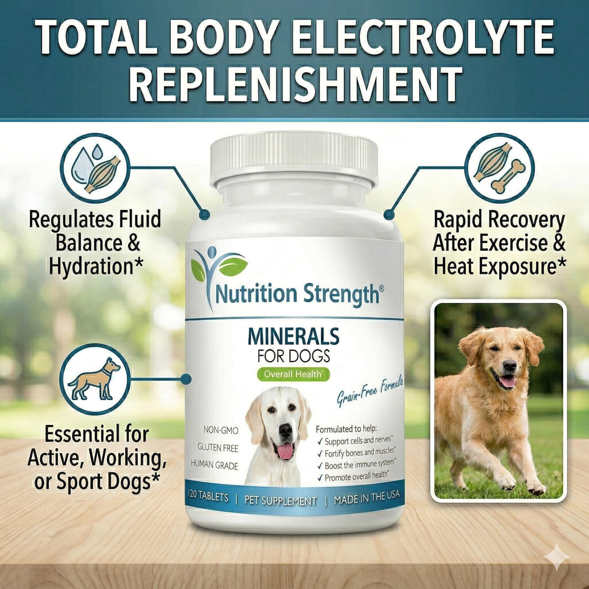 Dog Minerals & Electrolytes 120 Tablets M522729