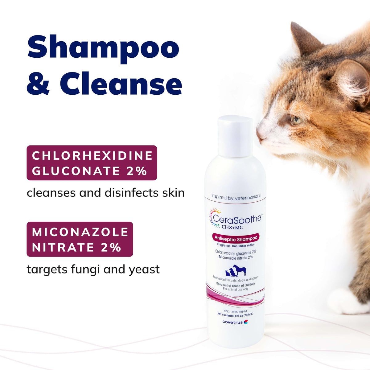 Chlorhexidine & Miconazole Antiseptic Shampoo 16 oz H133