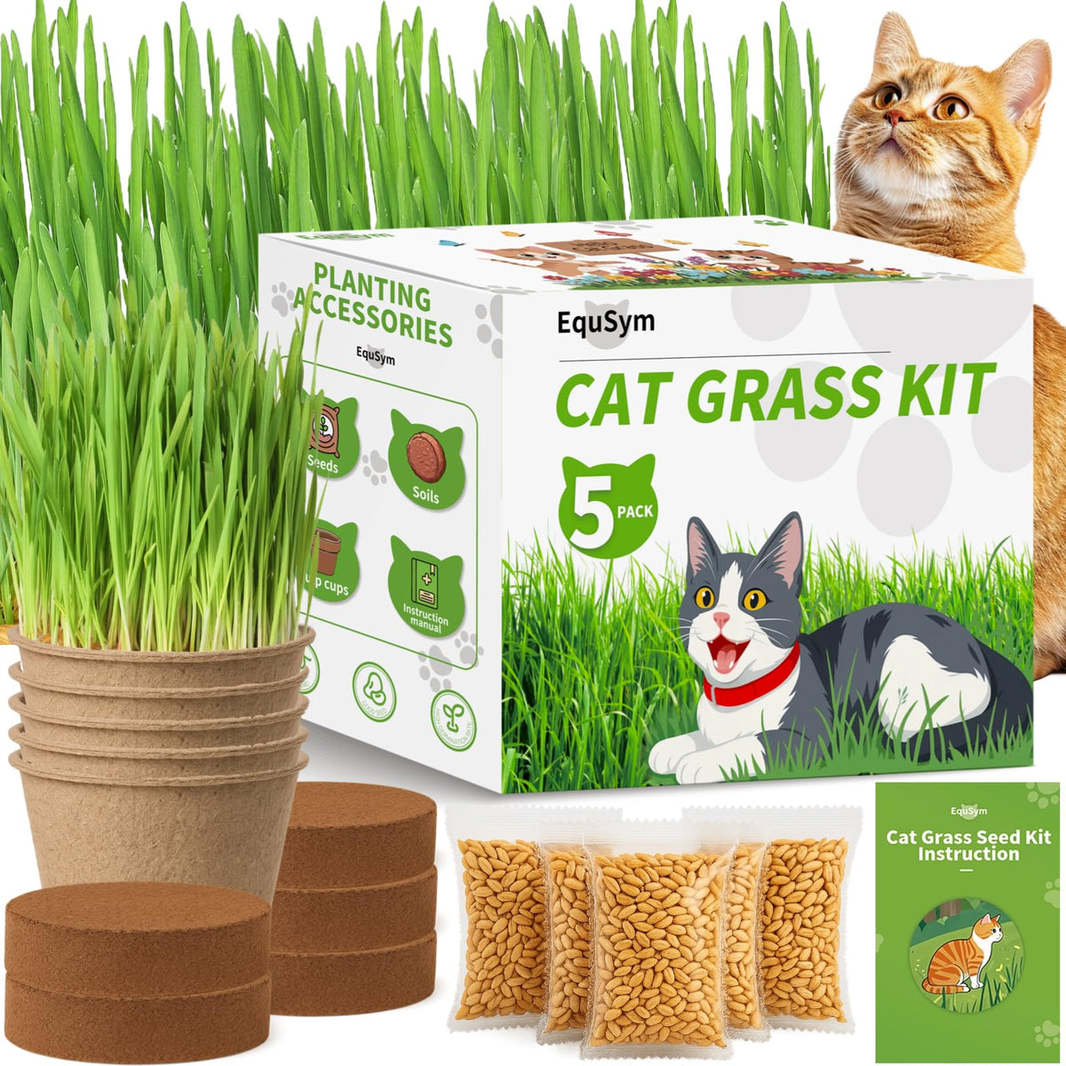 Cat Grass Growing Kit M864