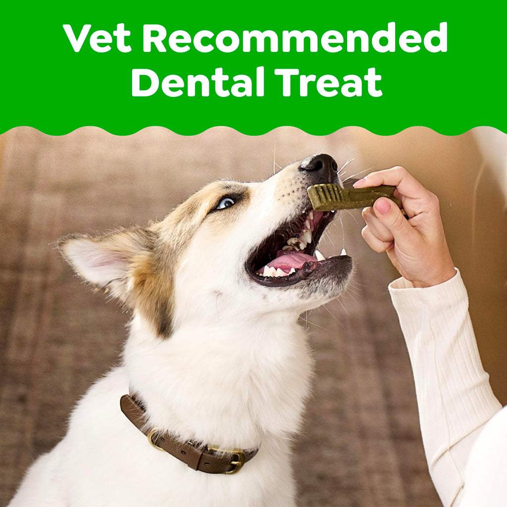 Large Dental Dog Treats 24 Count S4679