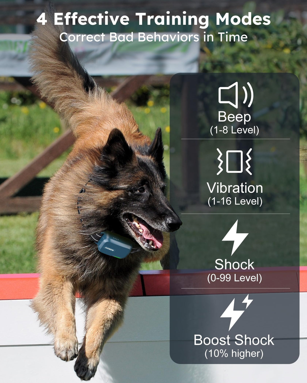 Dog Shock Collar with Remote Z811143