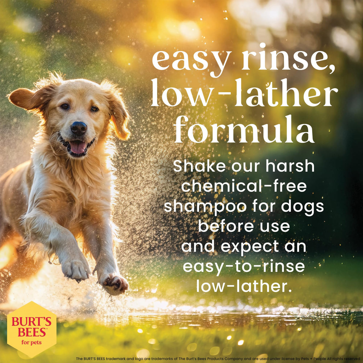 Hypoallergenic Dog Shampoo Shea Butter Honey 16 Fl Oz R3039
