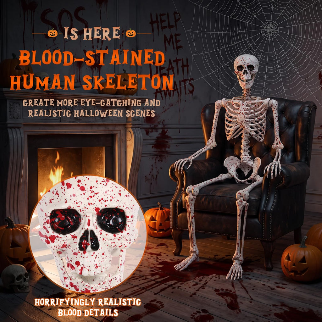 Life Size Posable Skeleton N847666