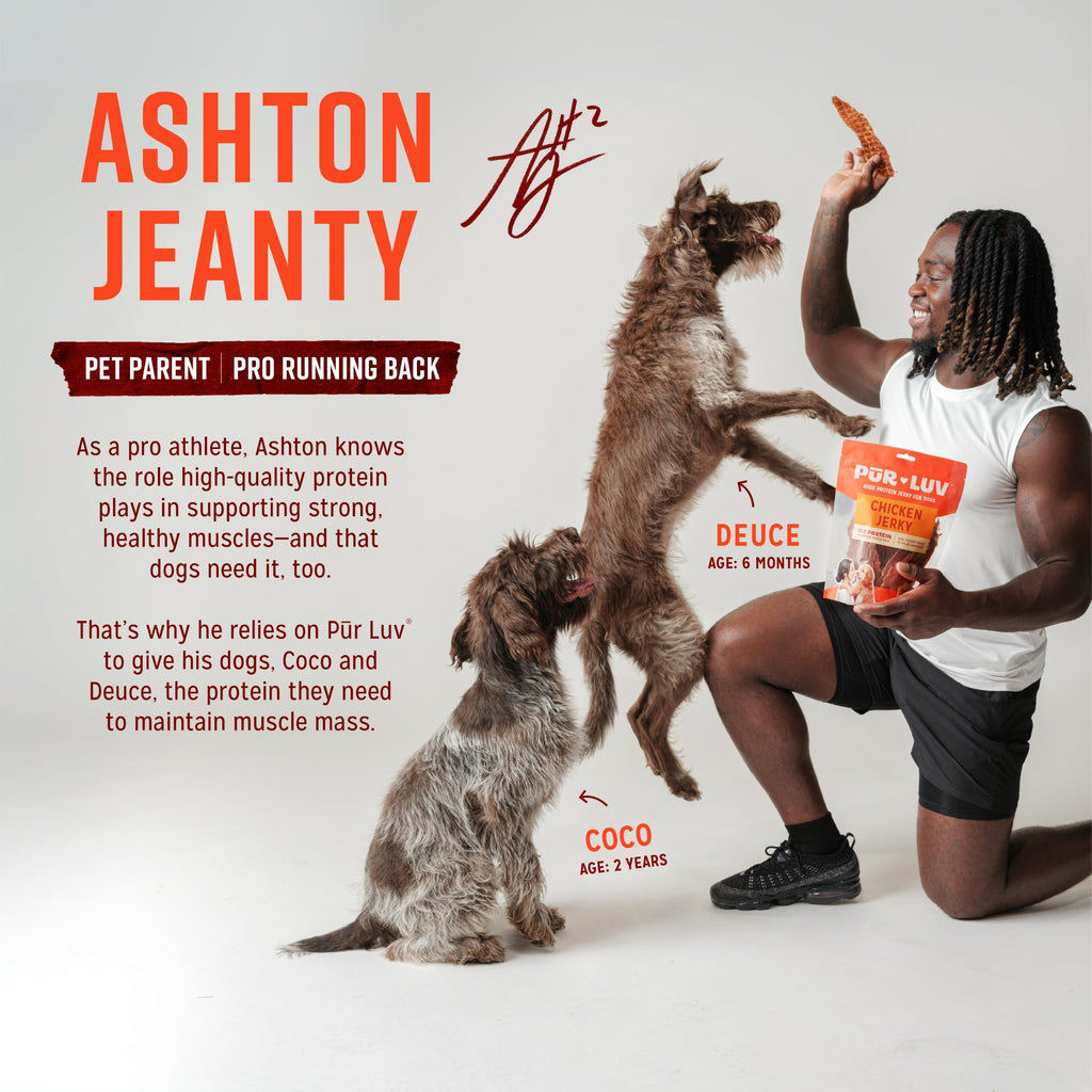 Chicken Jerky Dog Treats, 16 Ounces D9099