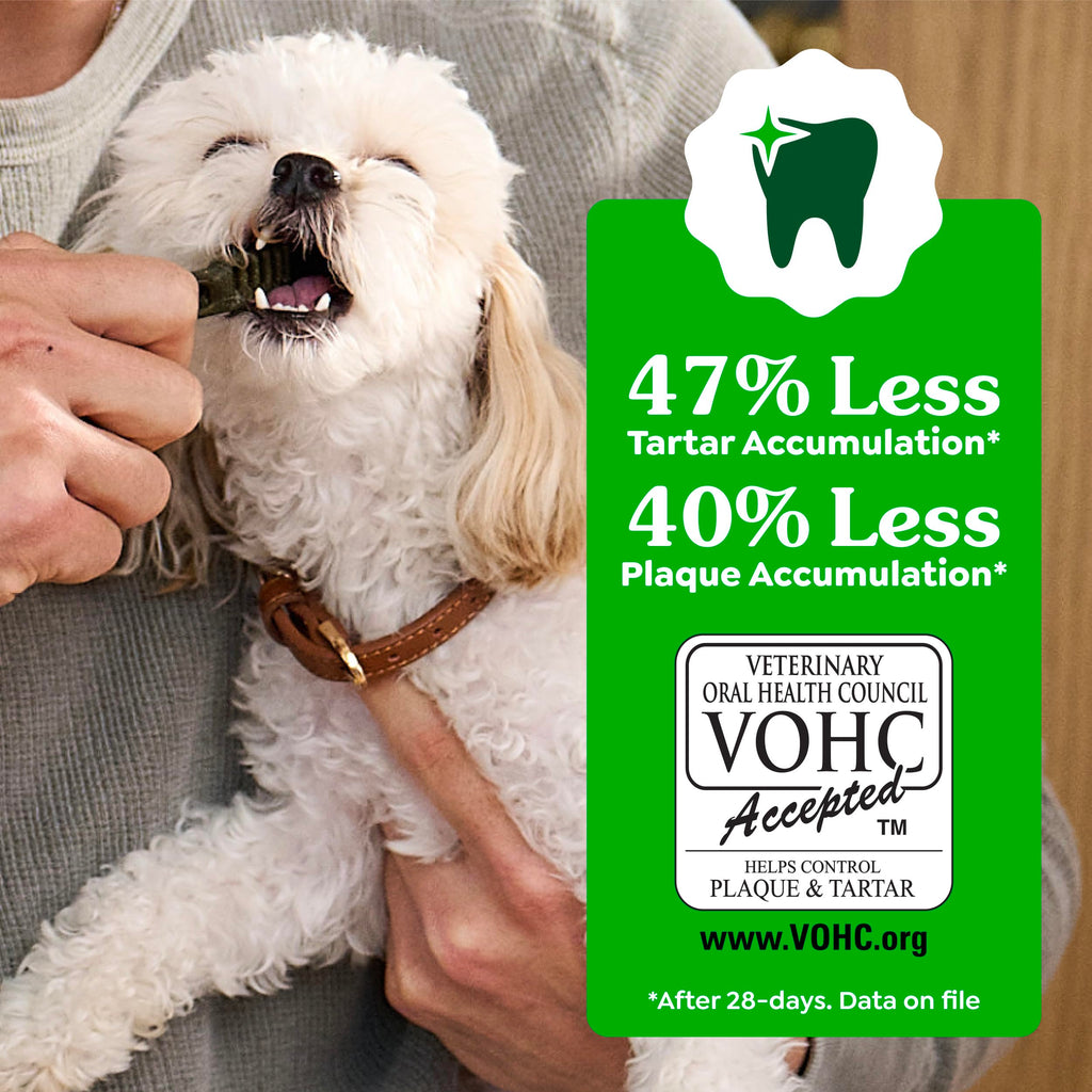 Large Dental Dog Treats 24 Count S4679