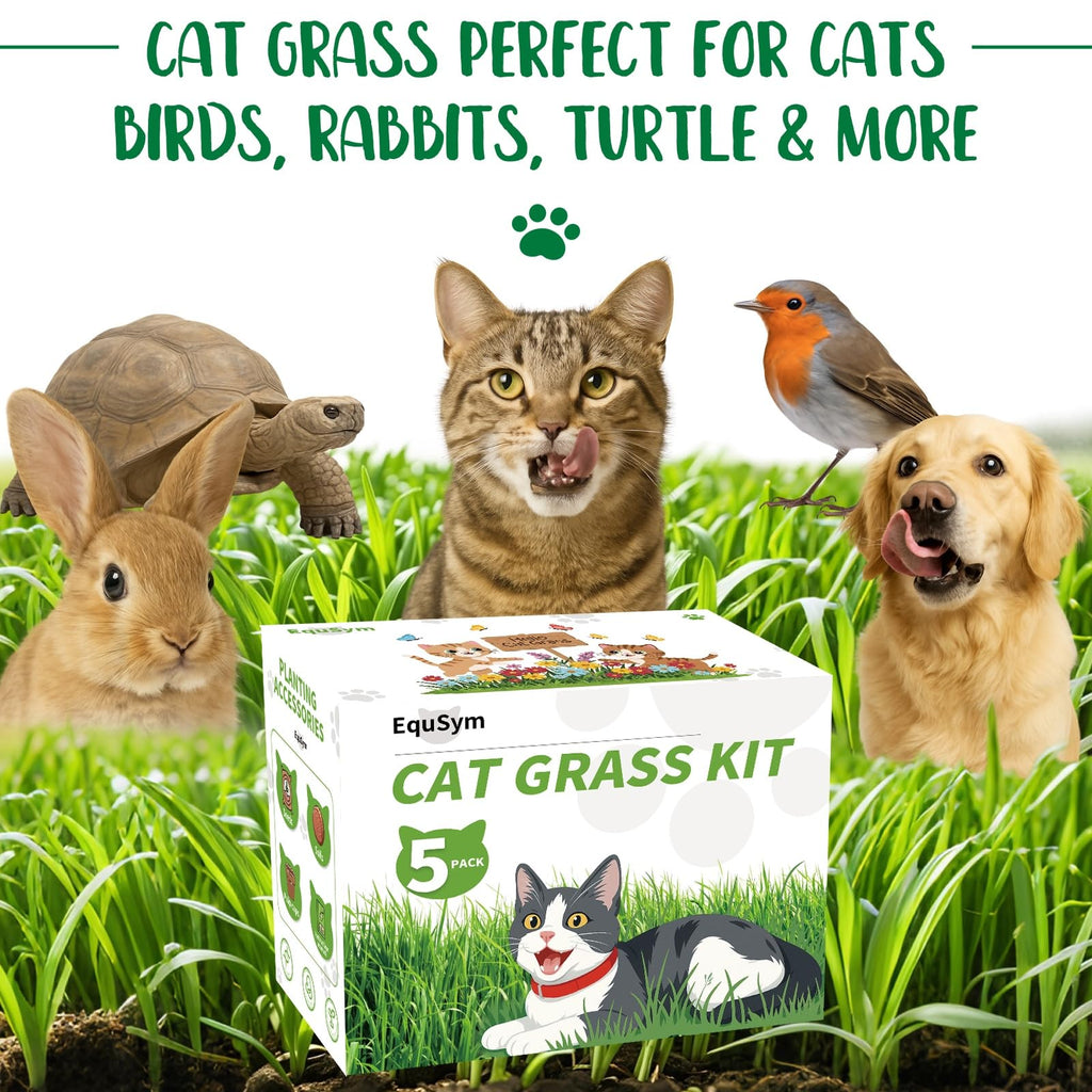 Cat Grass Growing Kit M864
