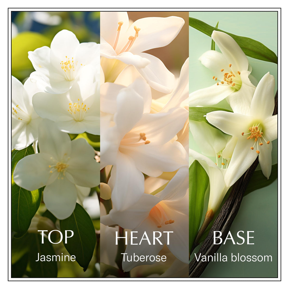 Jasmine Eau de Toilette 3.4 fl oz D1235