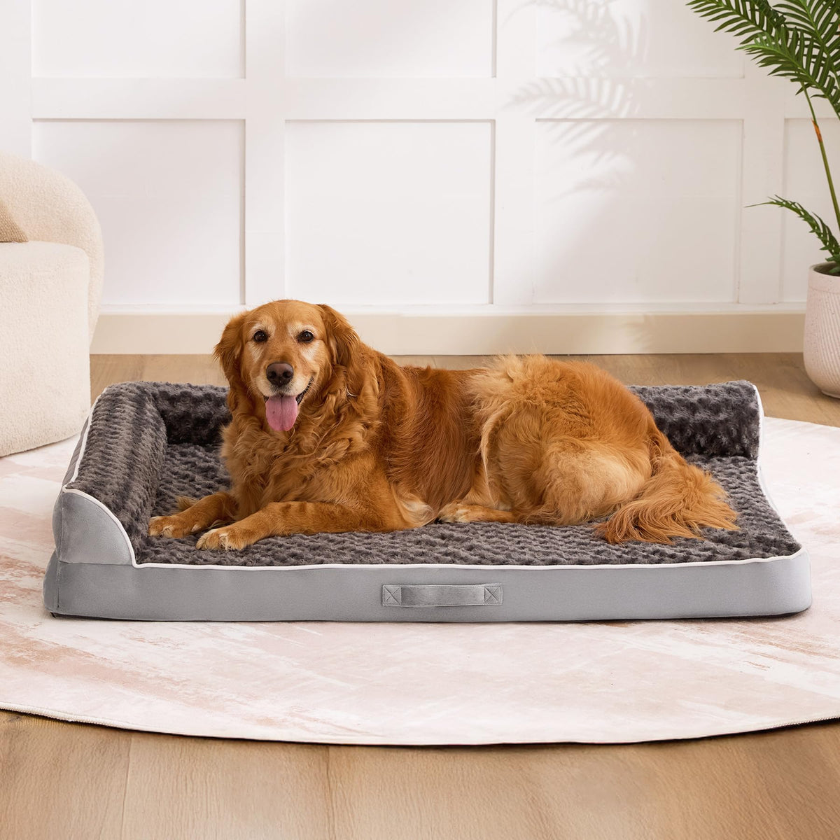 XL Orthopedic Dog Bed Grey J82717