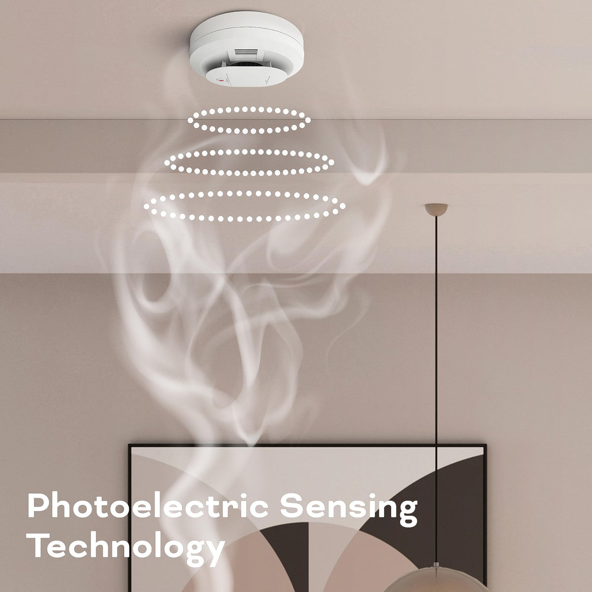 Hardwired Smoke & Carbon Monoxide Detector J268