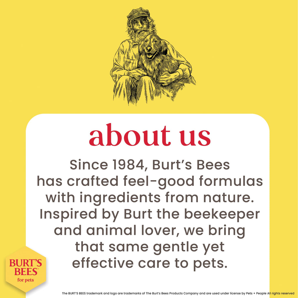 Hypoallergenic Dog Shampoo Shea Butter Honey 16 Fl Oz R3039