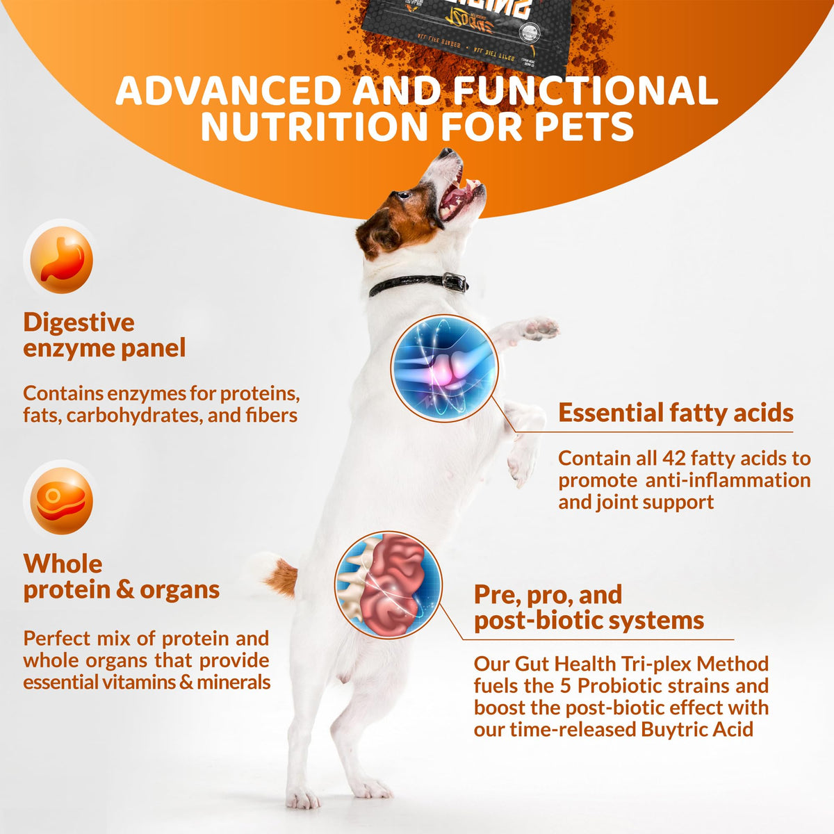 5-in-1 Dog Supplement Powdered Food Topper with Omega 3 Fish Oil 5 lbs G279