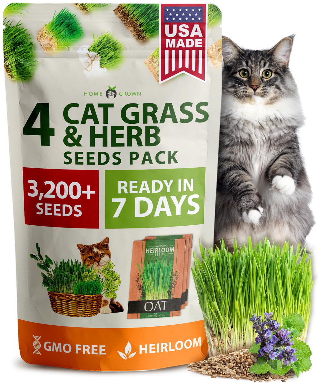 Indoor Cat Grass Refill 3,200+ Seeds D4871