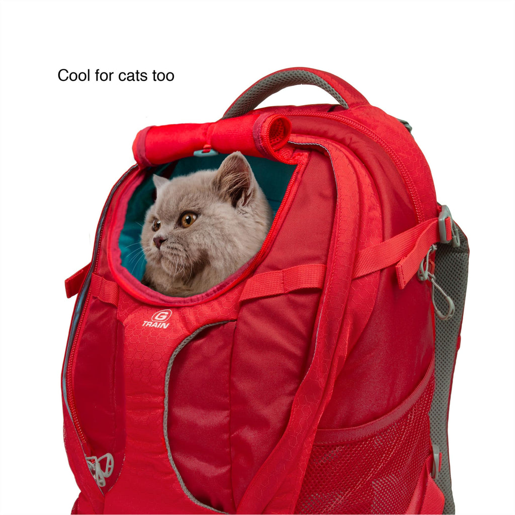 Black Pet Carrier Backpack H41429
