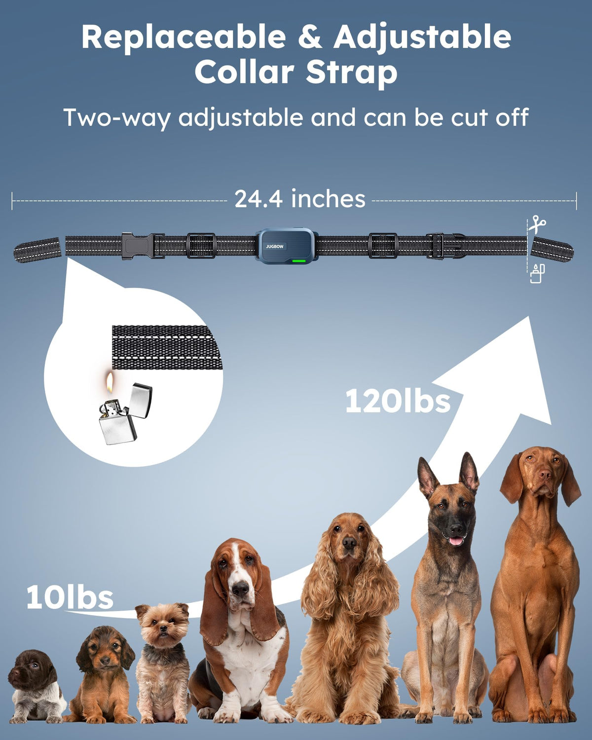 Dog Shock Collar with Remote Z811143