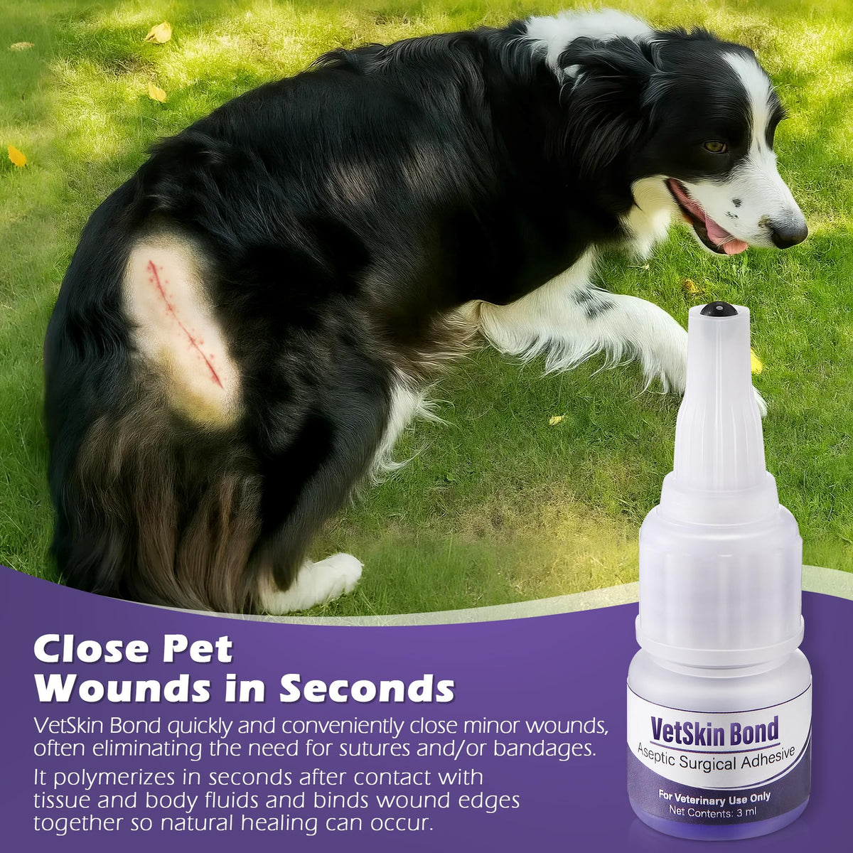 3ml Veterinary Surgical Skin Glue with 10 Applicators O4744