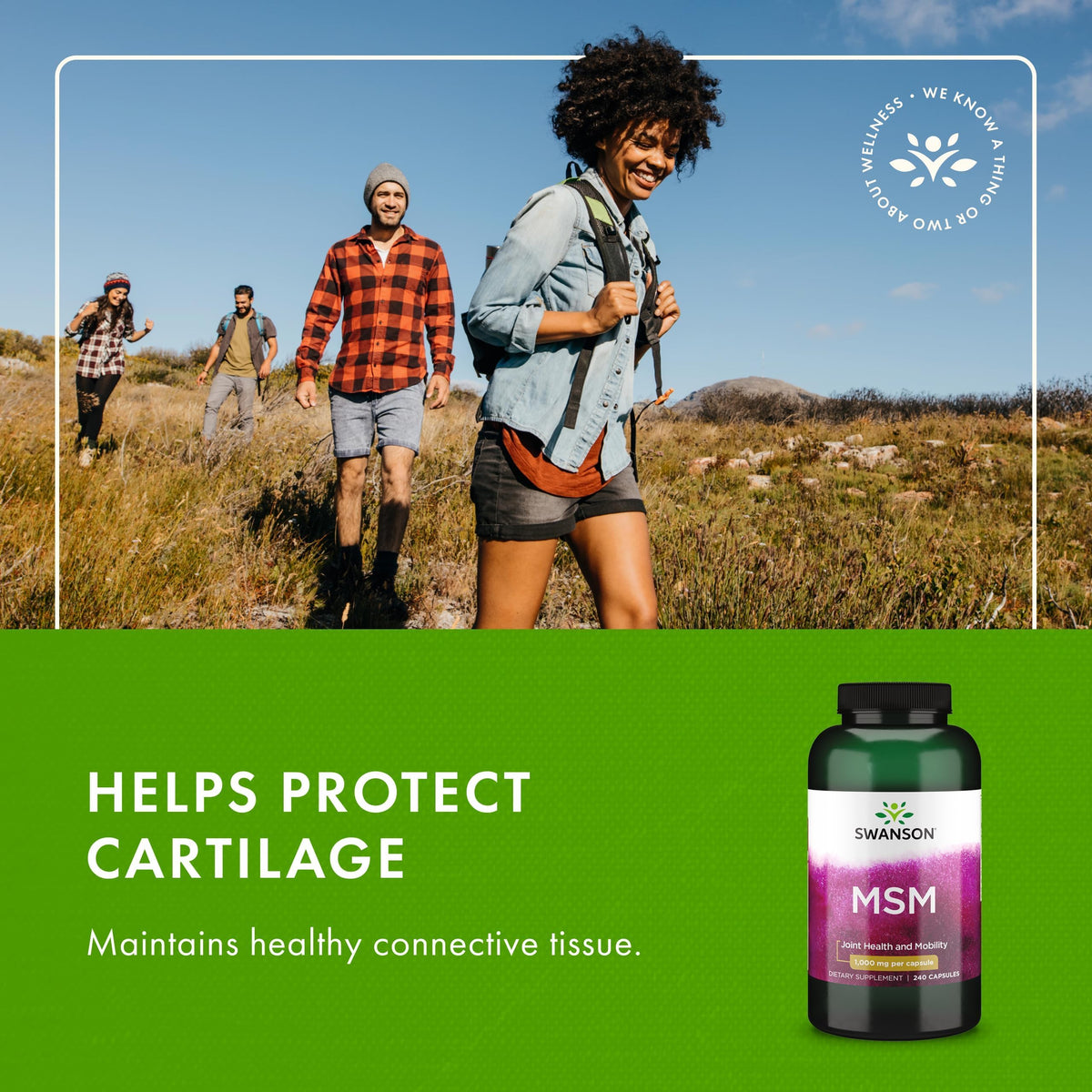 MSM Joint Health Supplement, 1000 mg, 240 Capsules H582670