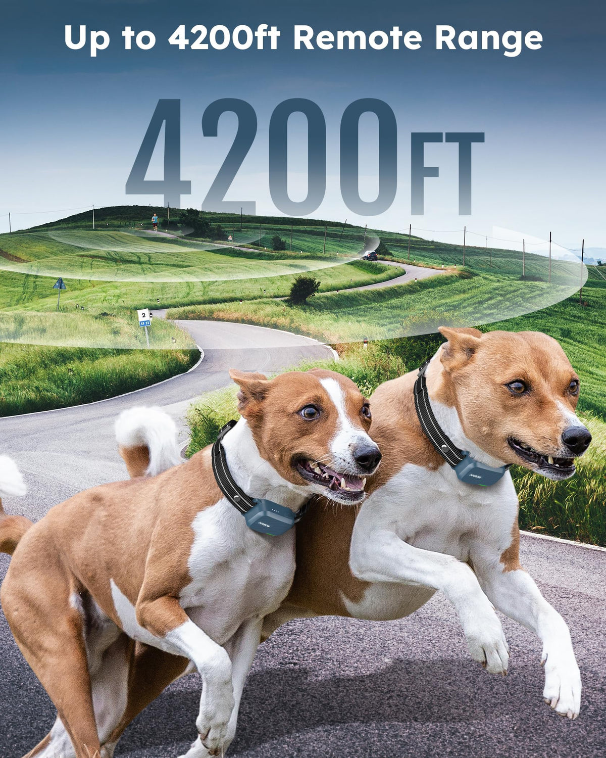 Dog Shock Collar with Remote Z811143